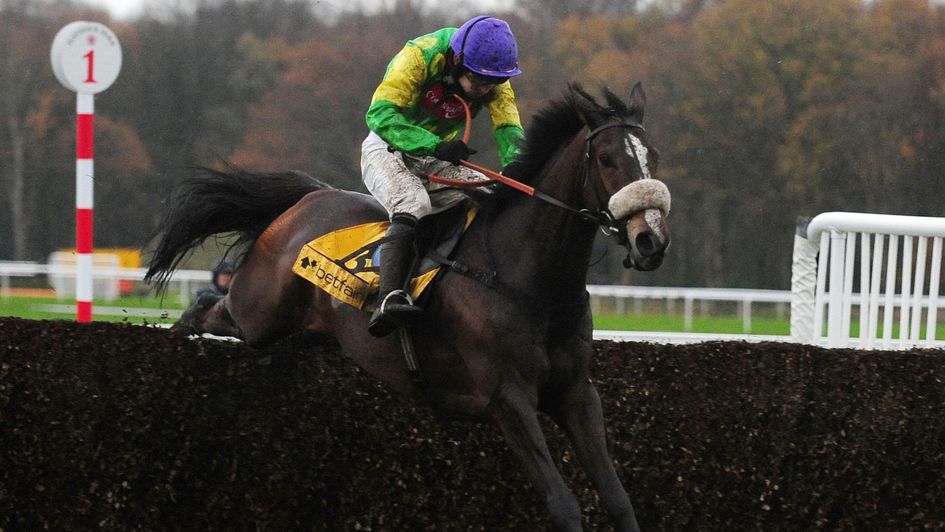 Kauto Star - won four Betfair Chases