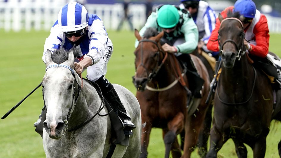 The grey Dark Shift is one of two York selections