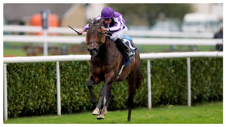 Bengal Tiger wins at Doncaster