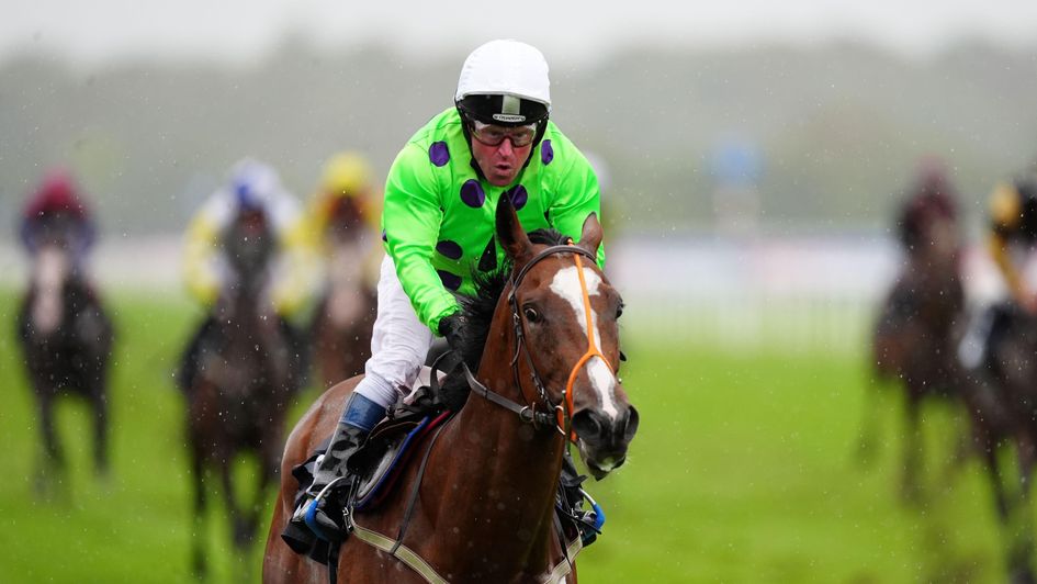 Shazani - one of the 40/1 winners