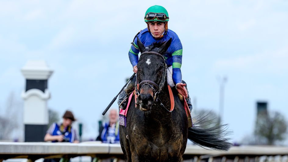 Goodnight Olive (courtesy of Breeders' Cup)