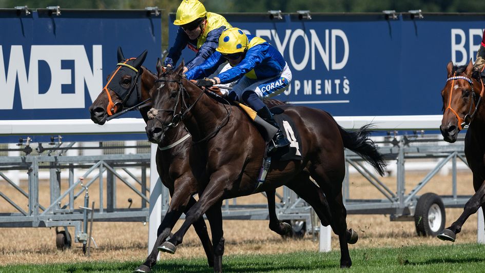 Never So Brave hits the front in the Summer Mile