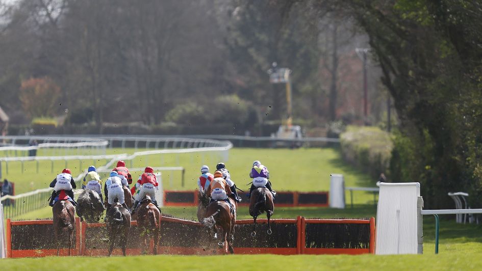 Racing from Fontwell