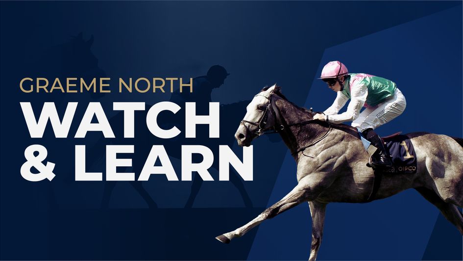 Field Of Gold was a star of Royal Ascot