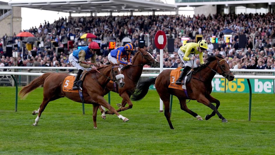 Bow Echo is on top in the Royal Lodge