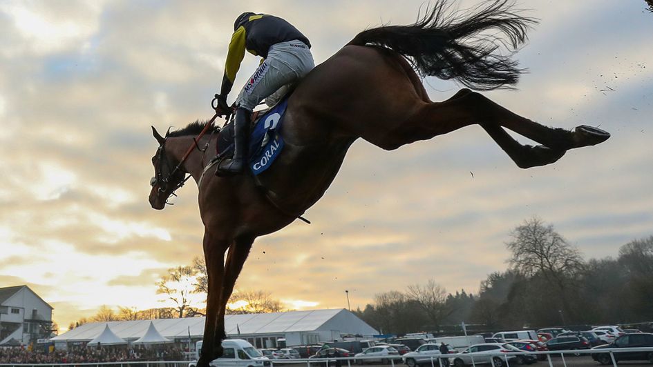 Elegant Escape - one of the star turns on Festival Trials Day