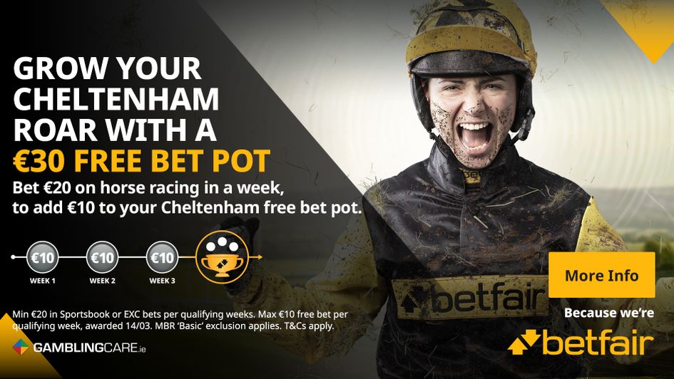 Betfair Cheltenham Roar campaign
