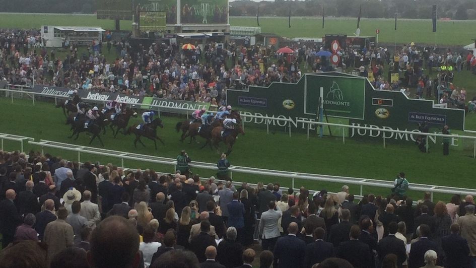 Desert Law wins at York