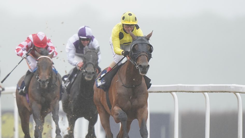 Zeeband is a horse to follow