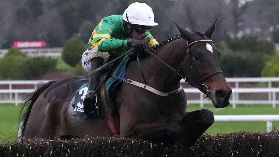 Fact To File leads over the last at Leopardstown