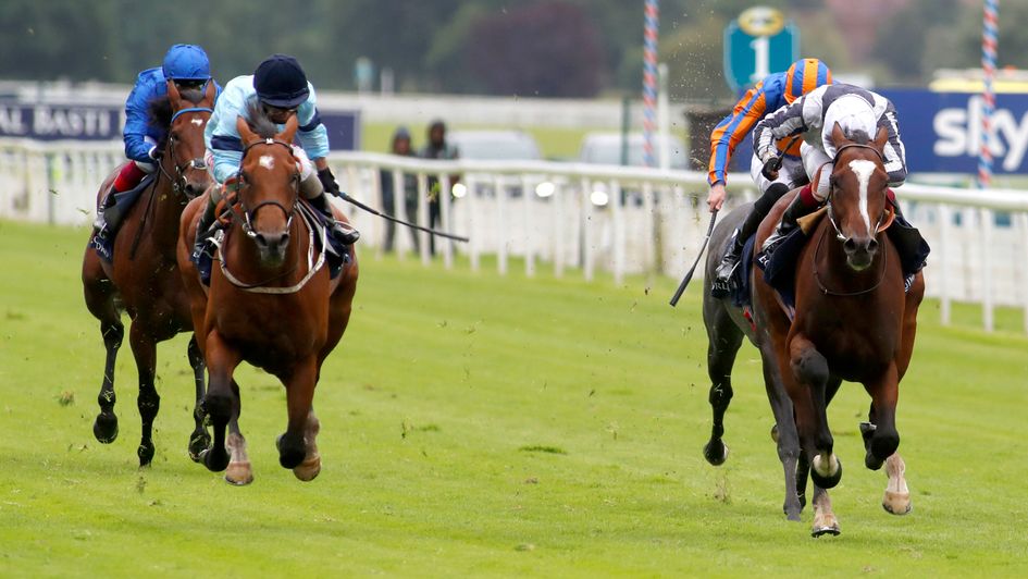 Thunderous (left) wins the Dante