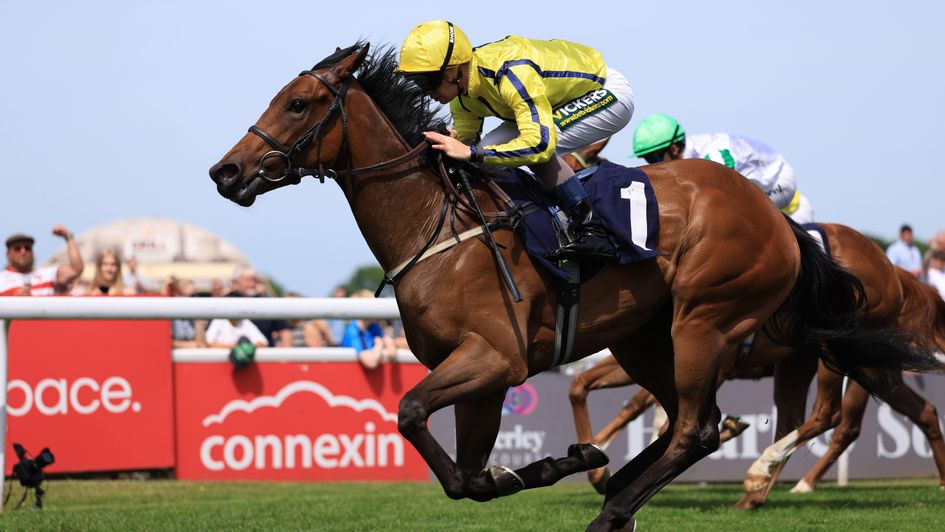Crystal Queen is nicely on top in the Hilary Needler
