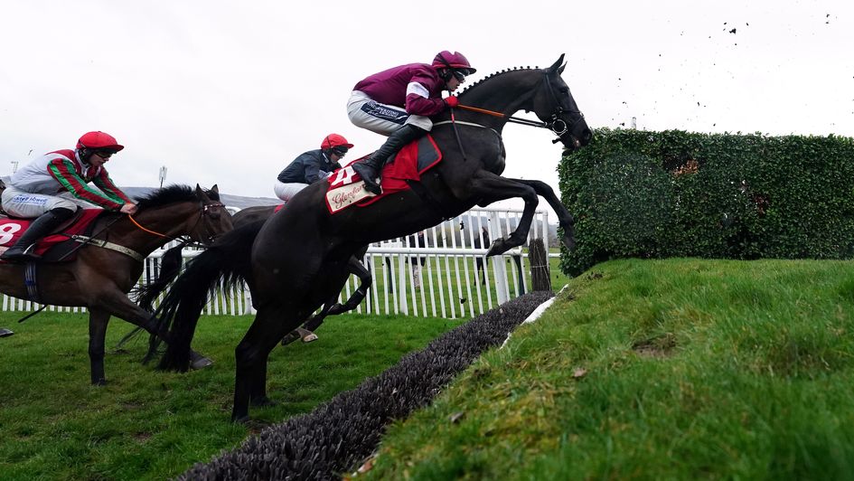 Delta Work - fancied to land the National