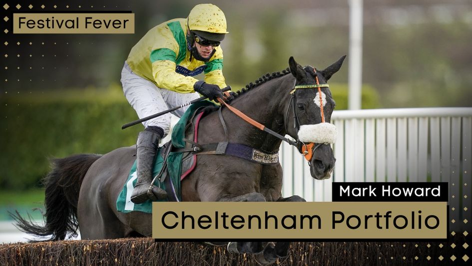 Happygolucky in action at Cheltenham