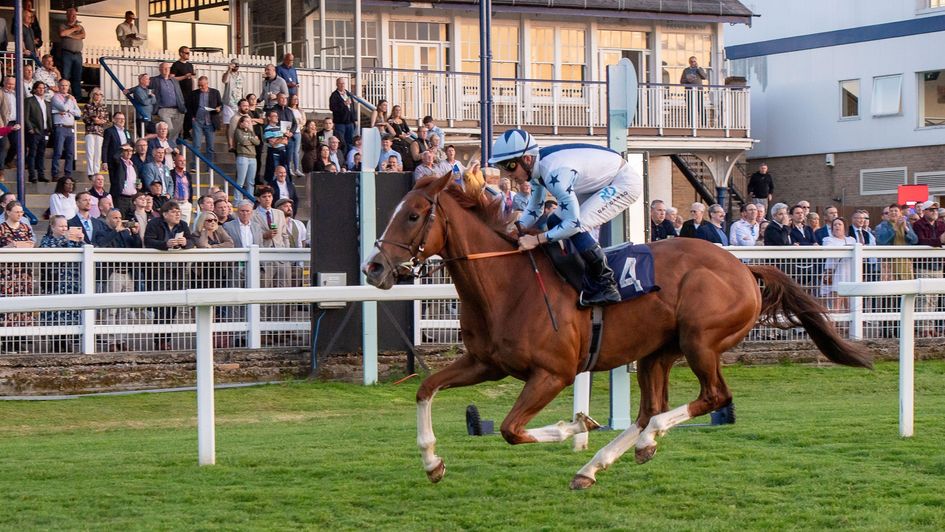 Crowd Quake pictured winning at Windsor