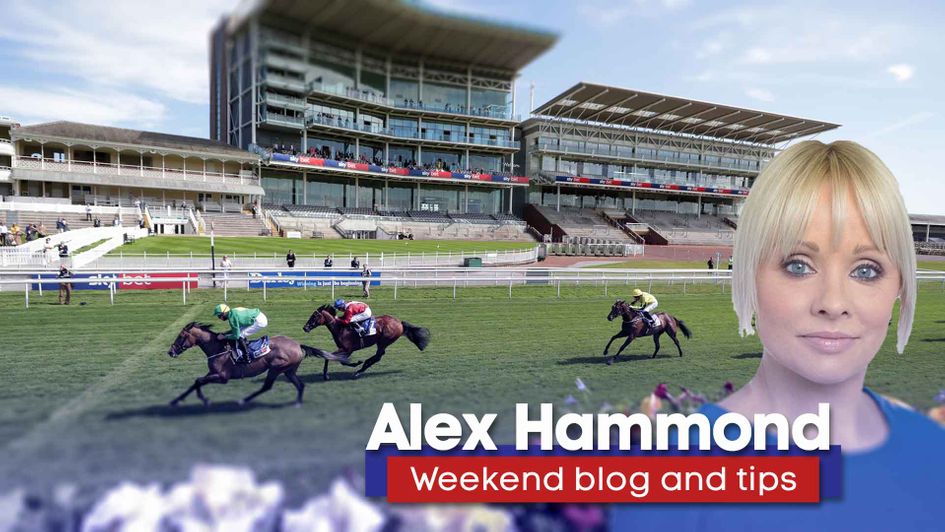 Find out who Alex Hammond is backing this weekend