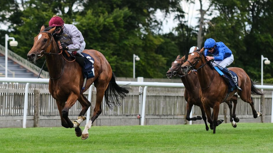Katara in charge at Newmarket