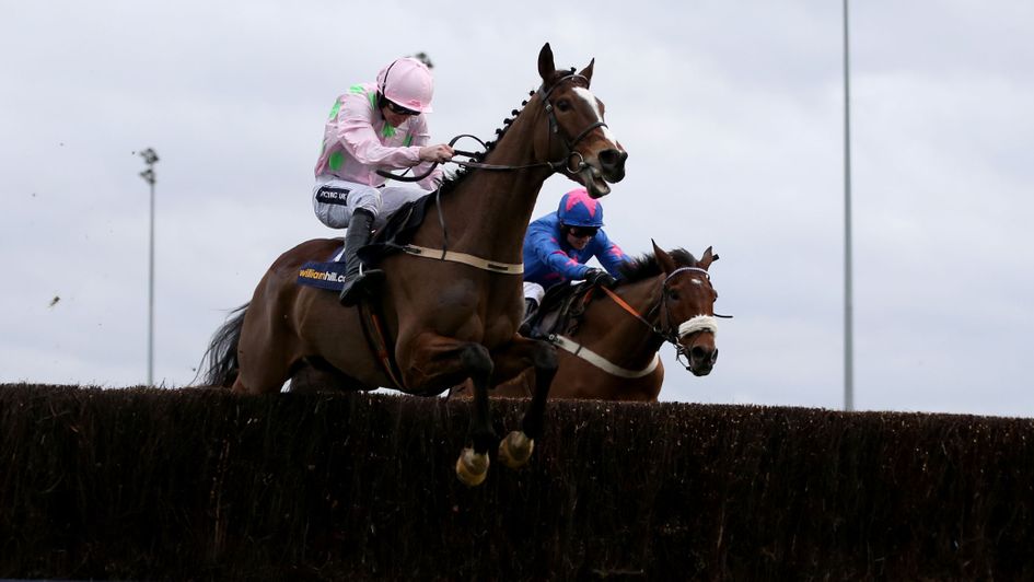 Cue Card stalks Vautour over the last