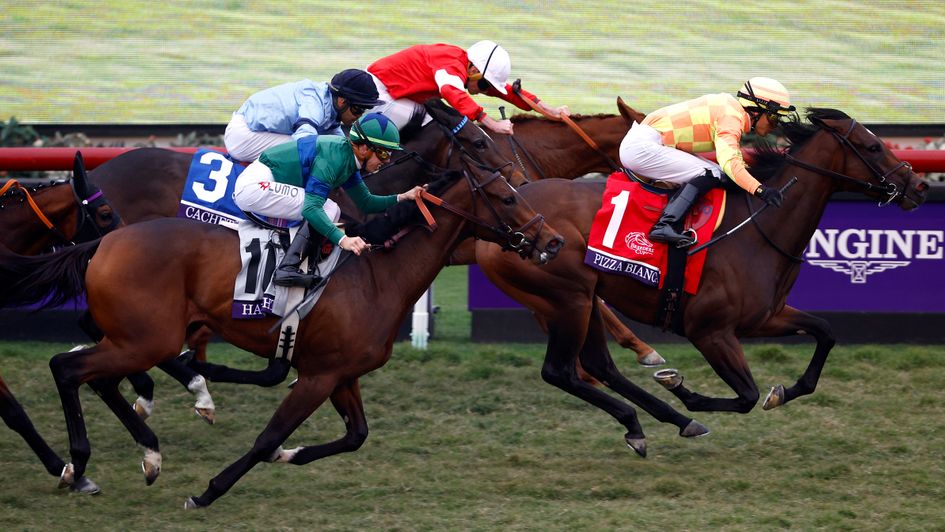 Pizza Bianca wins the Breeders' Cup Juvenile Fillies Turf