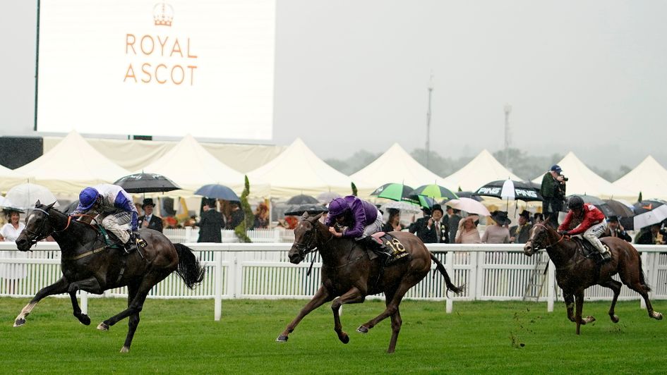 Time To Study (right) was a good third in the mud at Royal Ascot