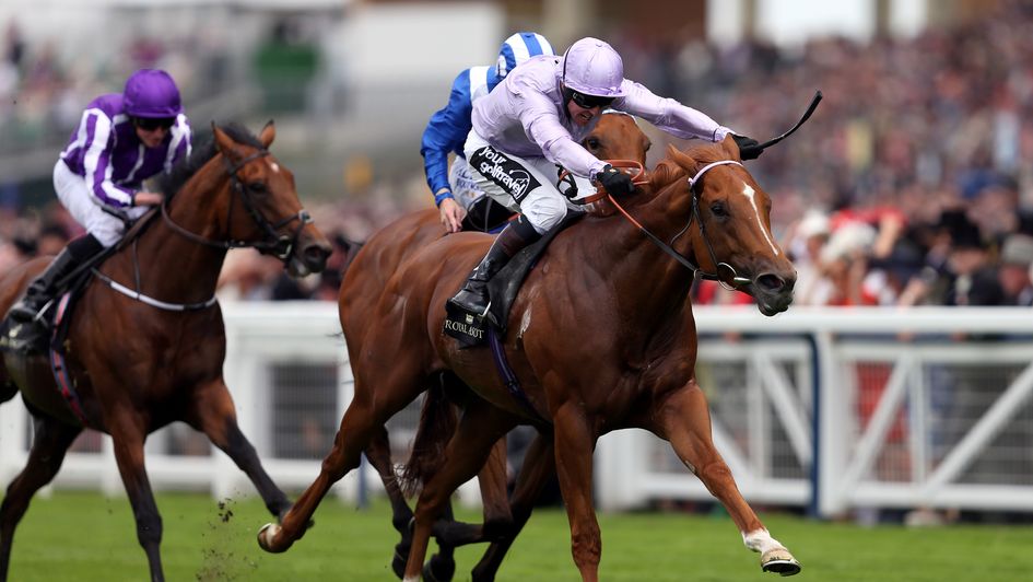 Dutch Connection wins the Jersey Stakes