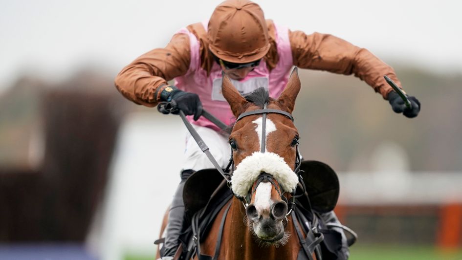 Faivoir wins at Ascot