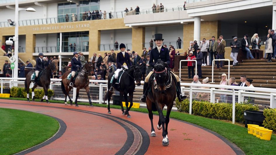 ROR champions parade at Cheltenham