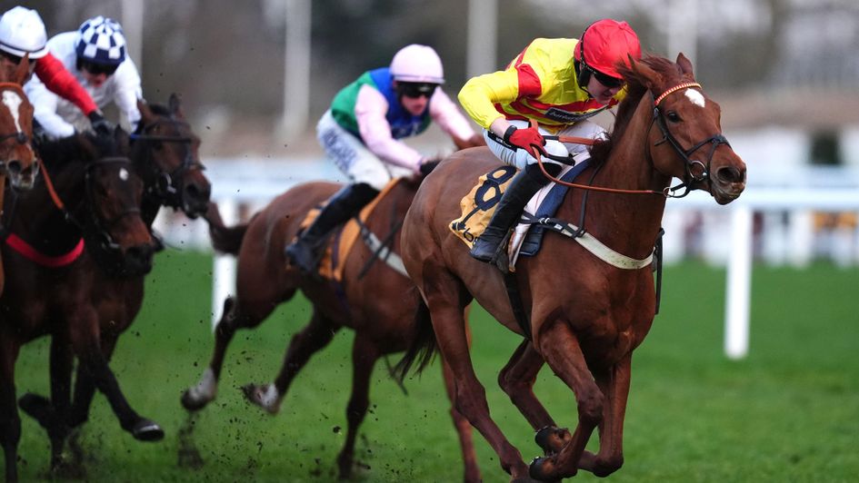 Martini Majesty makes a winning debut