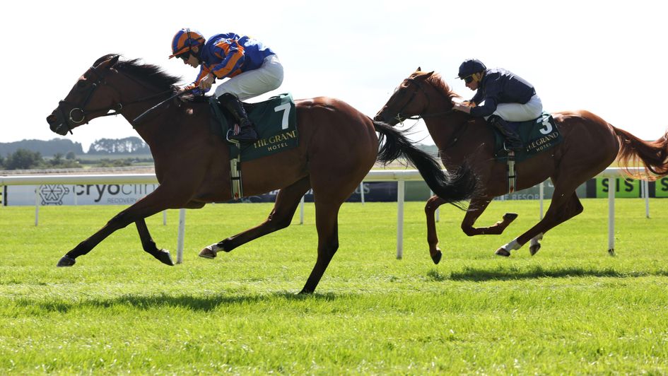 Diamond Necklace makes an impressive winning debut