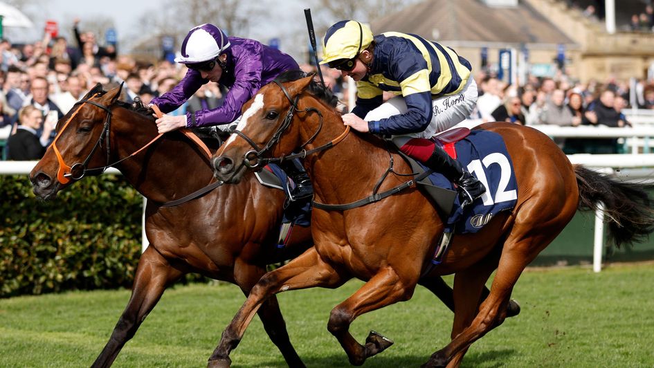 Norman's Cay edges home in the Brocklesby