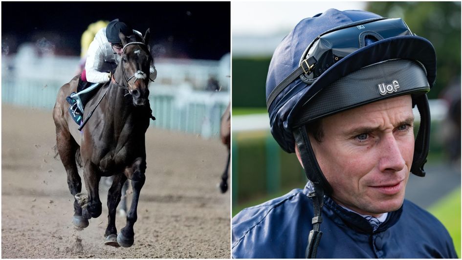 Ryan Moore is booked for Constitution Hill ride at Kempton