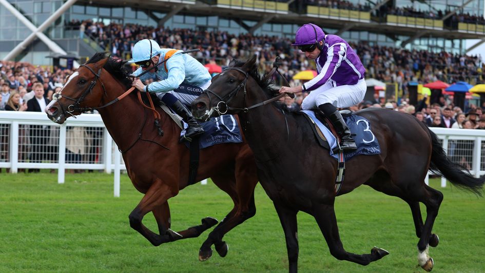 Song Of Clyde gets the better of Albert Einstein