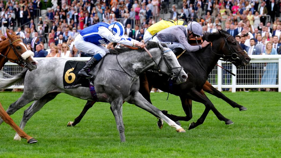 Fresh wins the International