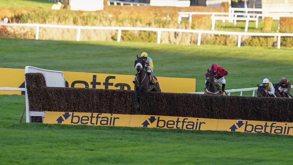 Doing Fine wins at Sandown