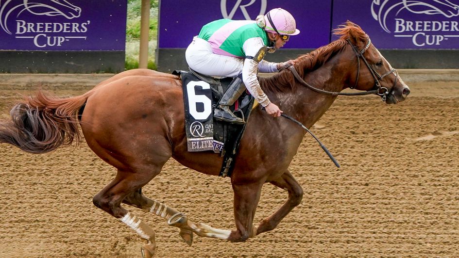 Elite Power swoops to score (image courtesy of Breeders' Cup)