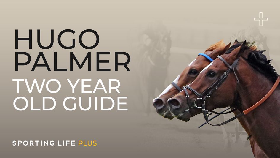 Hugo Palmer Two-Year-Old Guide