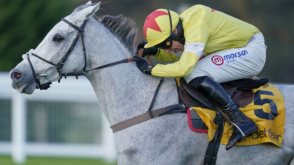 Politologue - will be there or thereabouts at Cheltenham