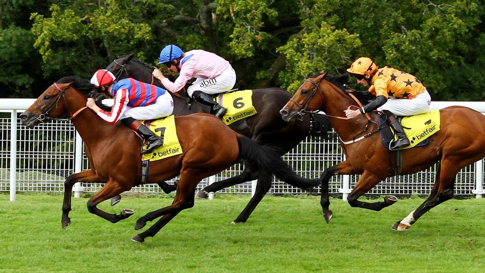 Dubawi Gold winning at Goodwood