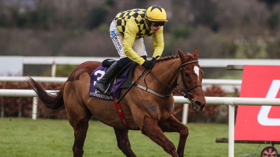 State Man wins another Irish Champion