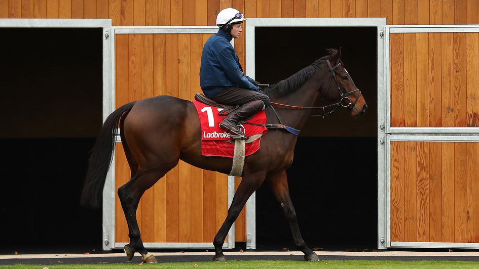 Thomas Patrick prepares to work at Newbury