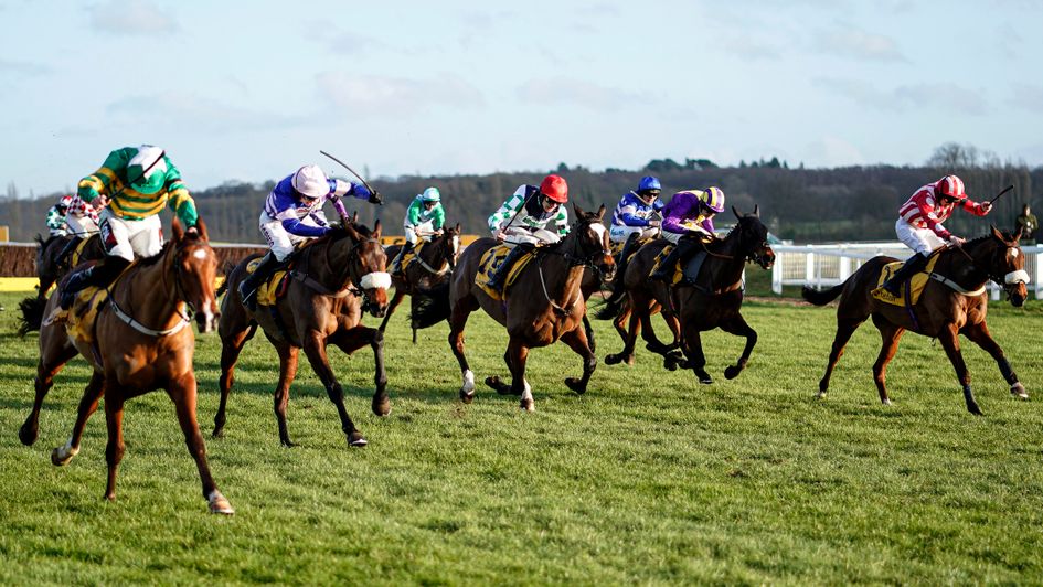 Pic D'orhy (pink cap) comes through to win the Betfair Hurdle