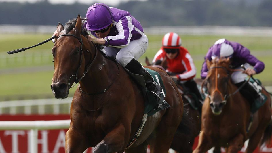 Little Big Bear routs his Phoenix Stakes rivals