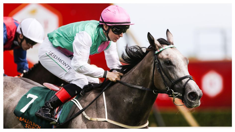 Maire Rua wins at Leopardstown