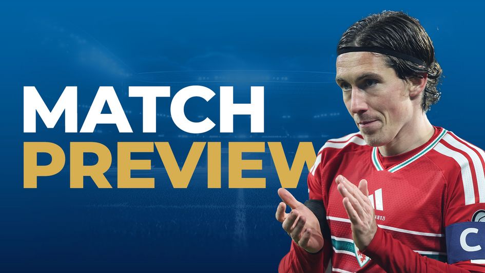 wales v bosnia preview