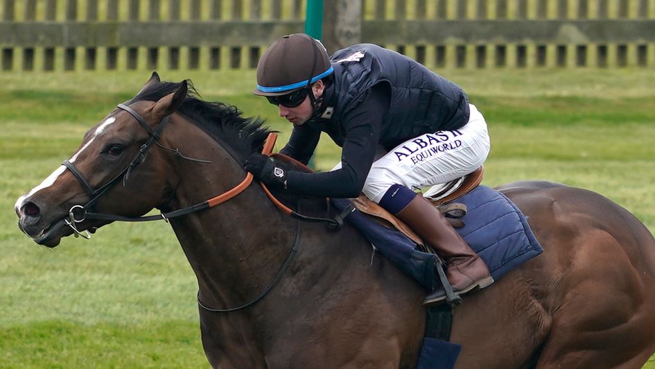 Advertise works before racing at Newmarket