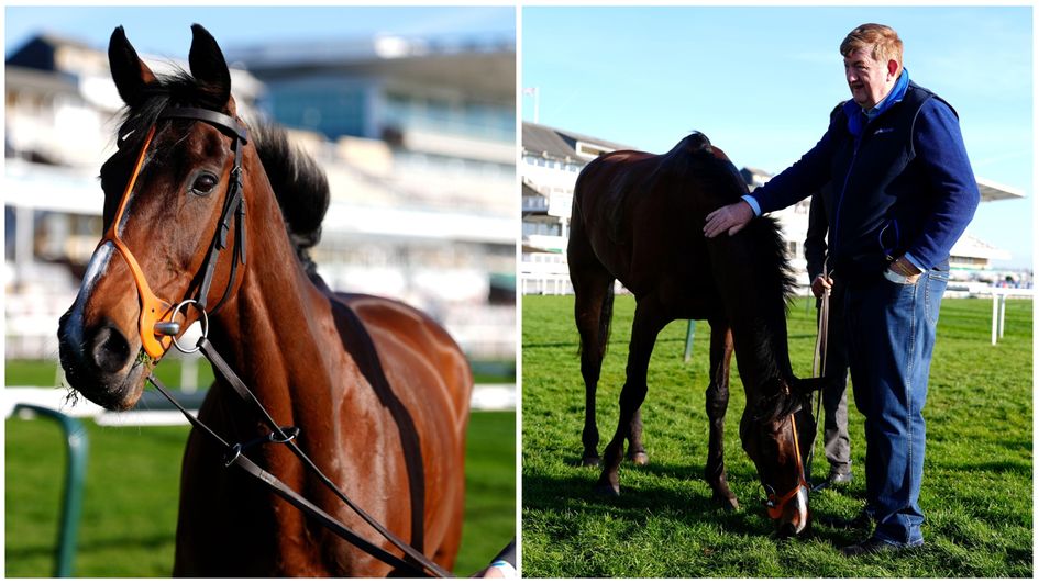Hewick on the Aintree gallops this morning