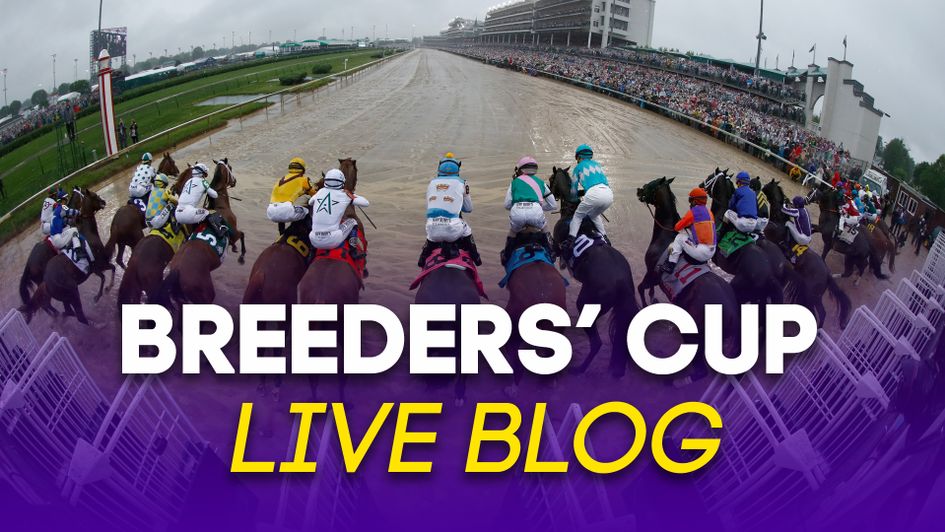 The Breeders' Cup returns to Churchill Downs
