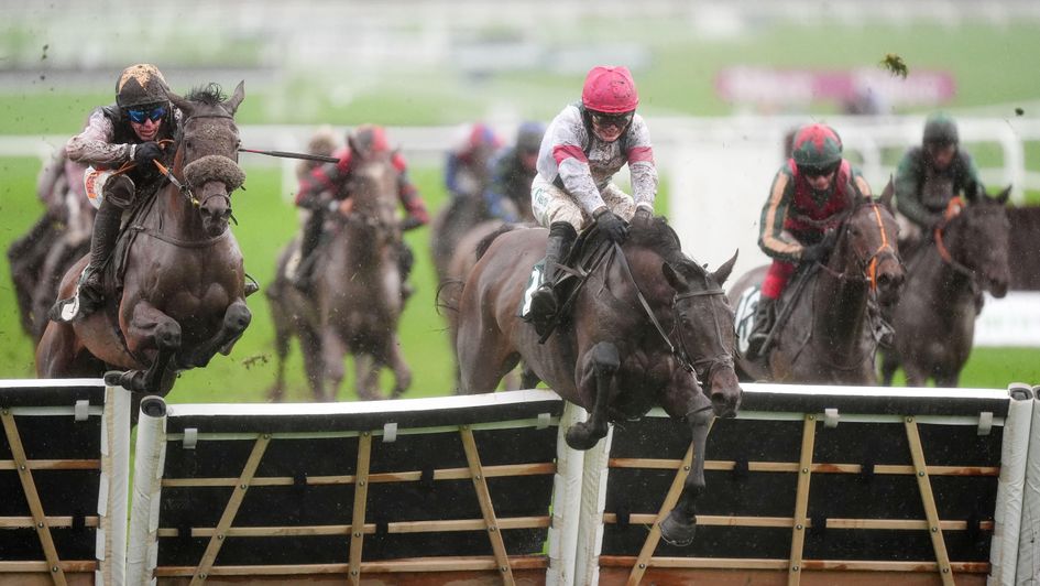 A Pai De Nom wins at Cheltenham