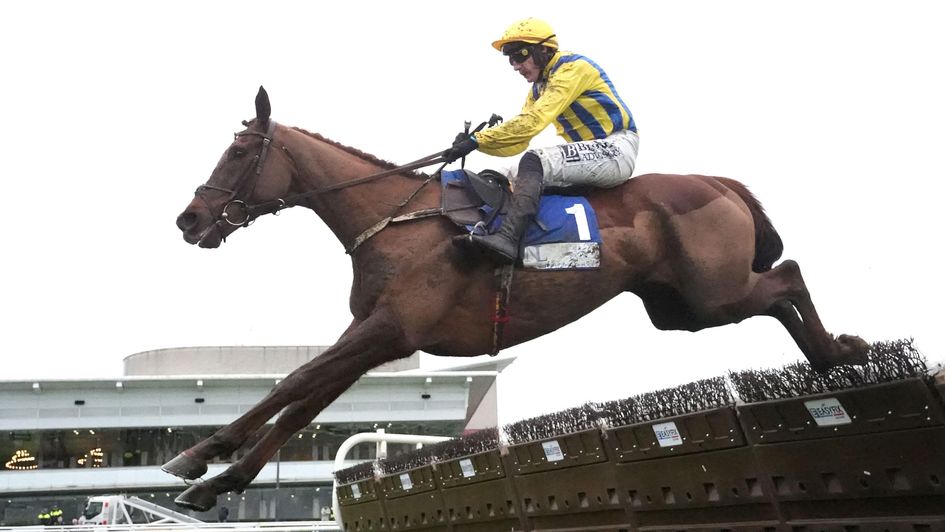 Doctor Steinberg impresses at the DRF