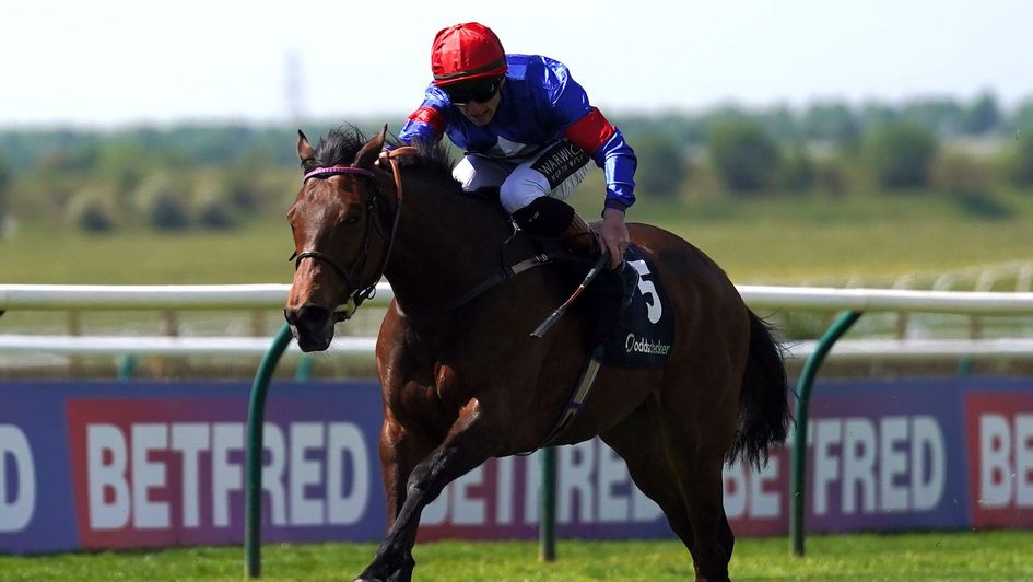 Tiger Bay wins at Newmarket